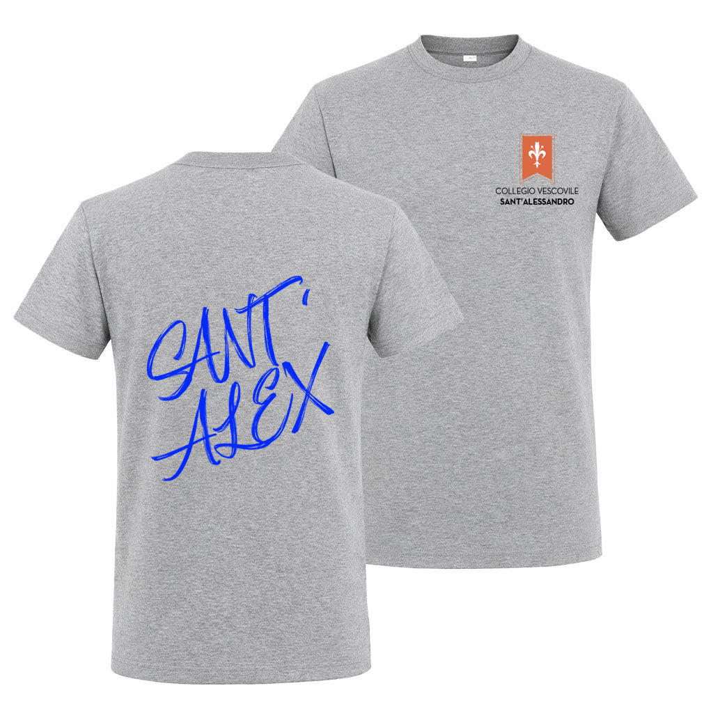 T-Shirt Collegio Vescovile V1 Grey