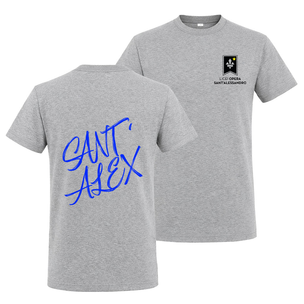 T-Shirt Regular Grey