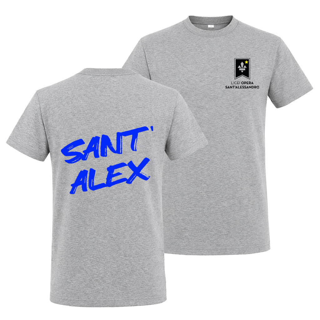 T-Shirt Regular V2 Grey