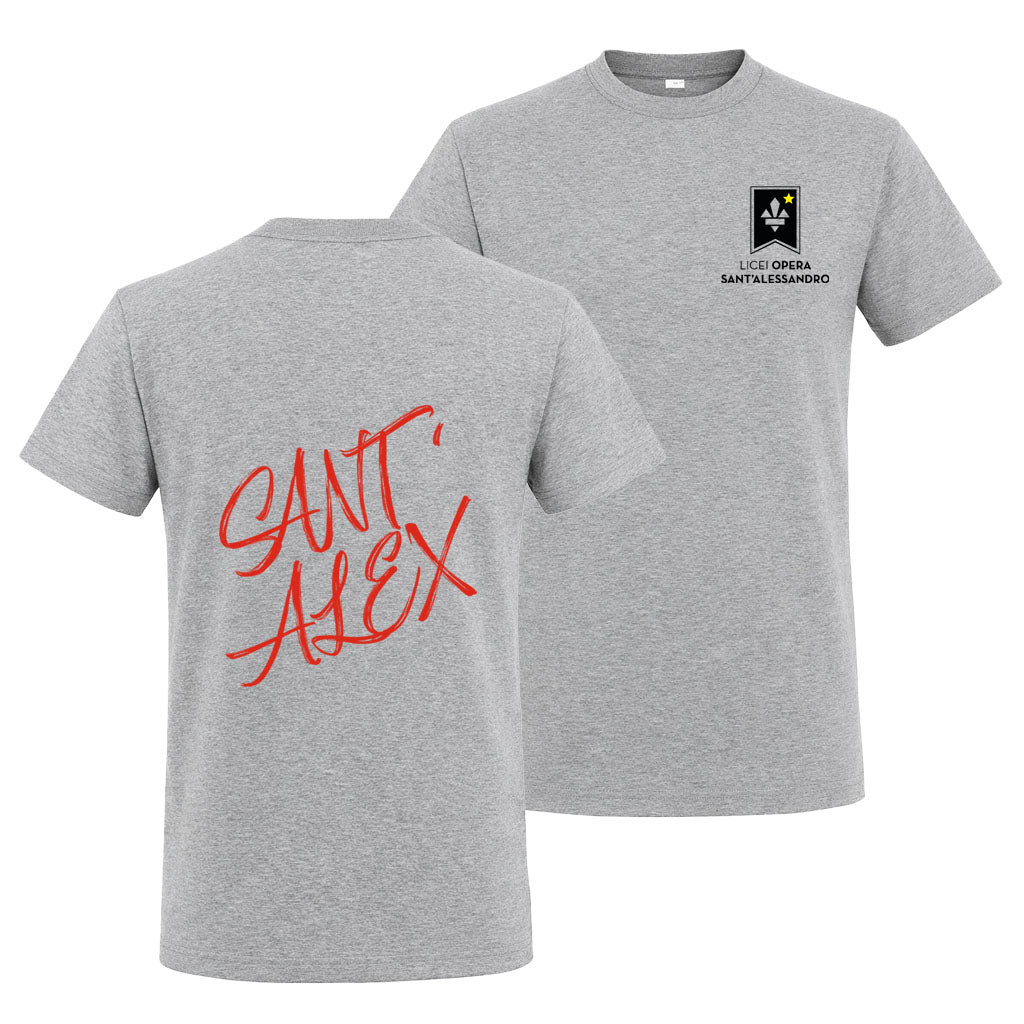 T-Shirt Regular Grey