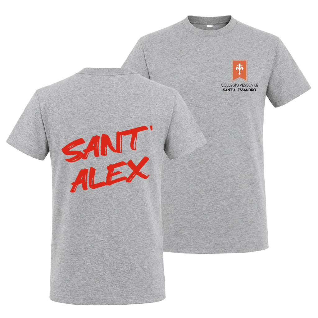 T-Shirt Collegio Vescovile V2 Grey