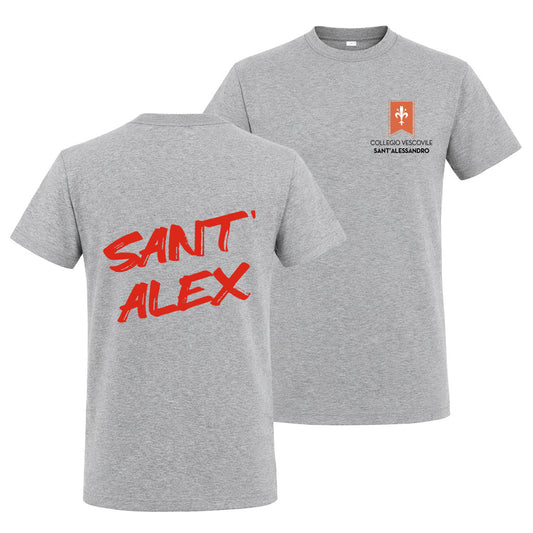 T-Shirt Collegio Vescovile V2 Grey