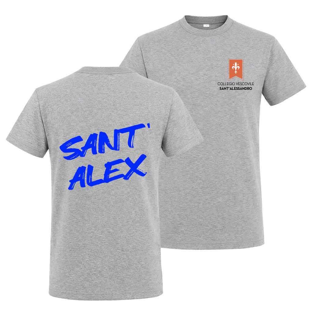 T-Shirt Collegio Vescovile V2 Grey