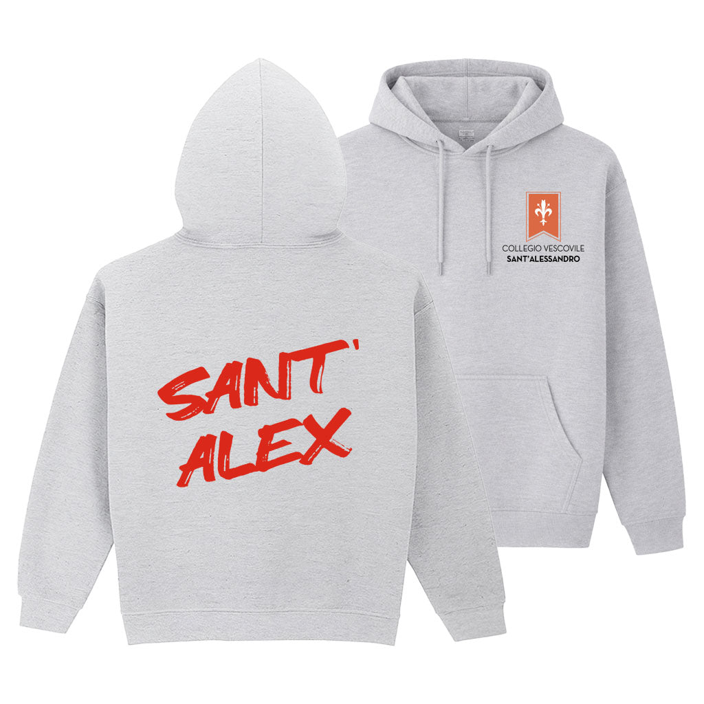 Felpa Collegio Vescovile V2 Grey