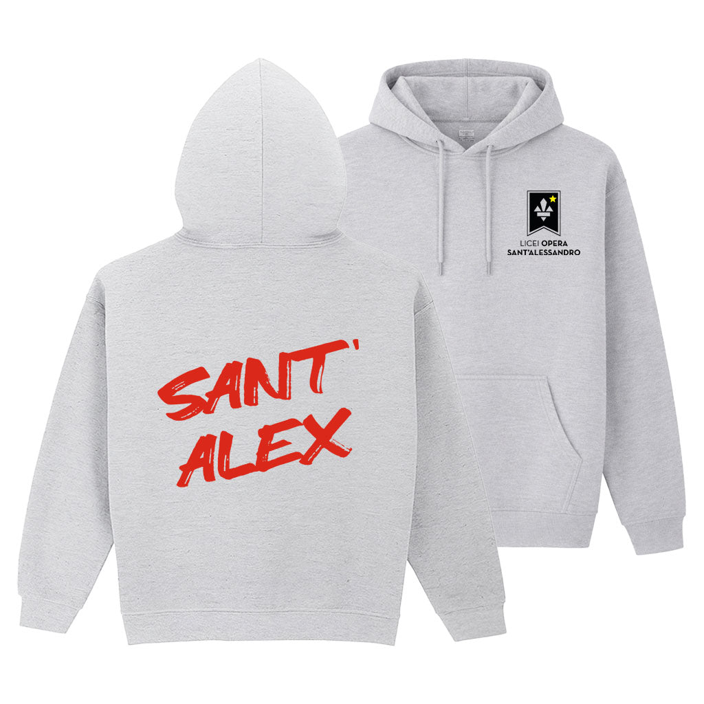 Felpa Regular V2 Grey