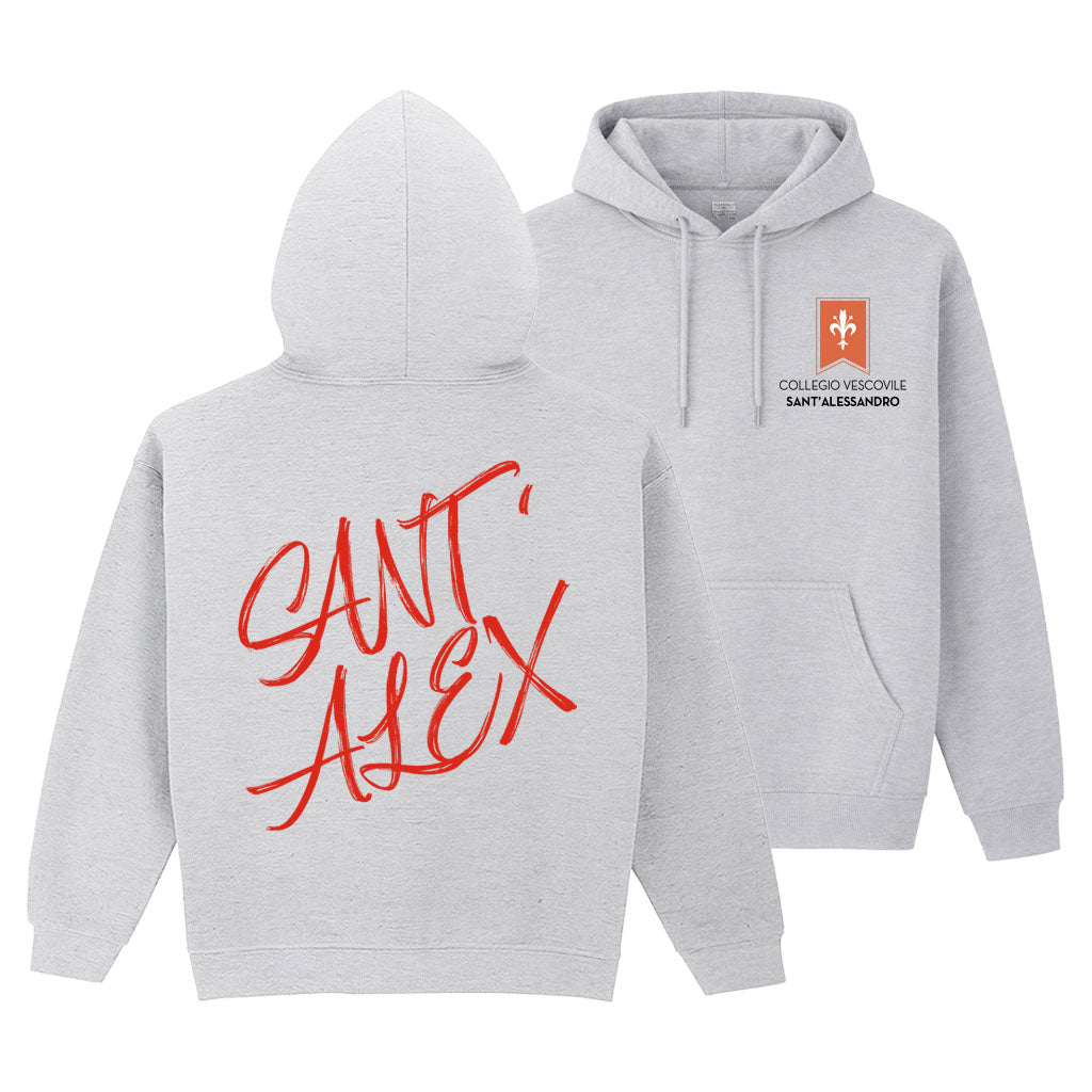 Felpa Collegio Vescovile V1 Grey