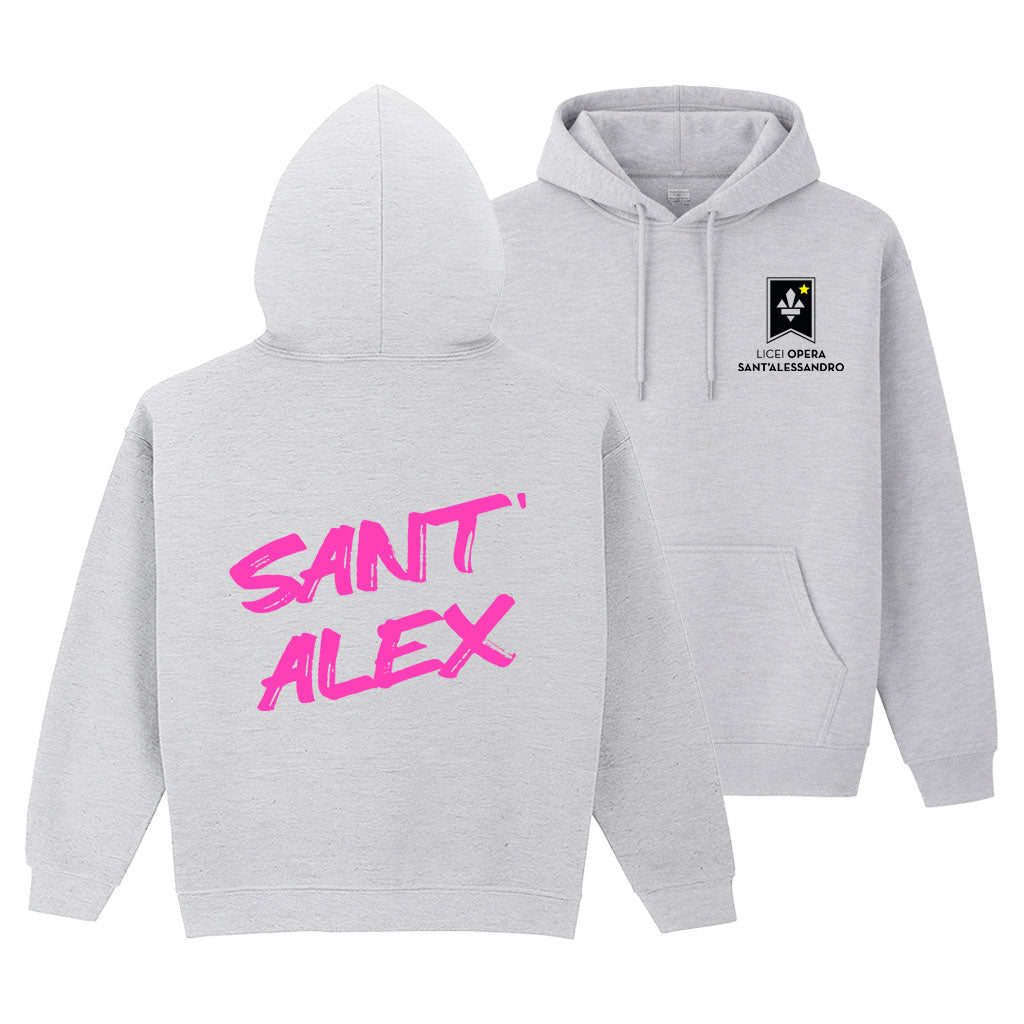 Felpa Regular V2 Grey