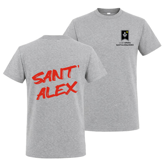 T-Shirt Regular V2 Grey