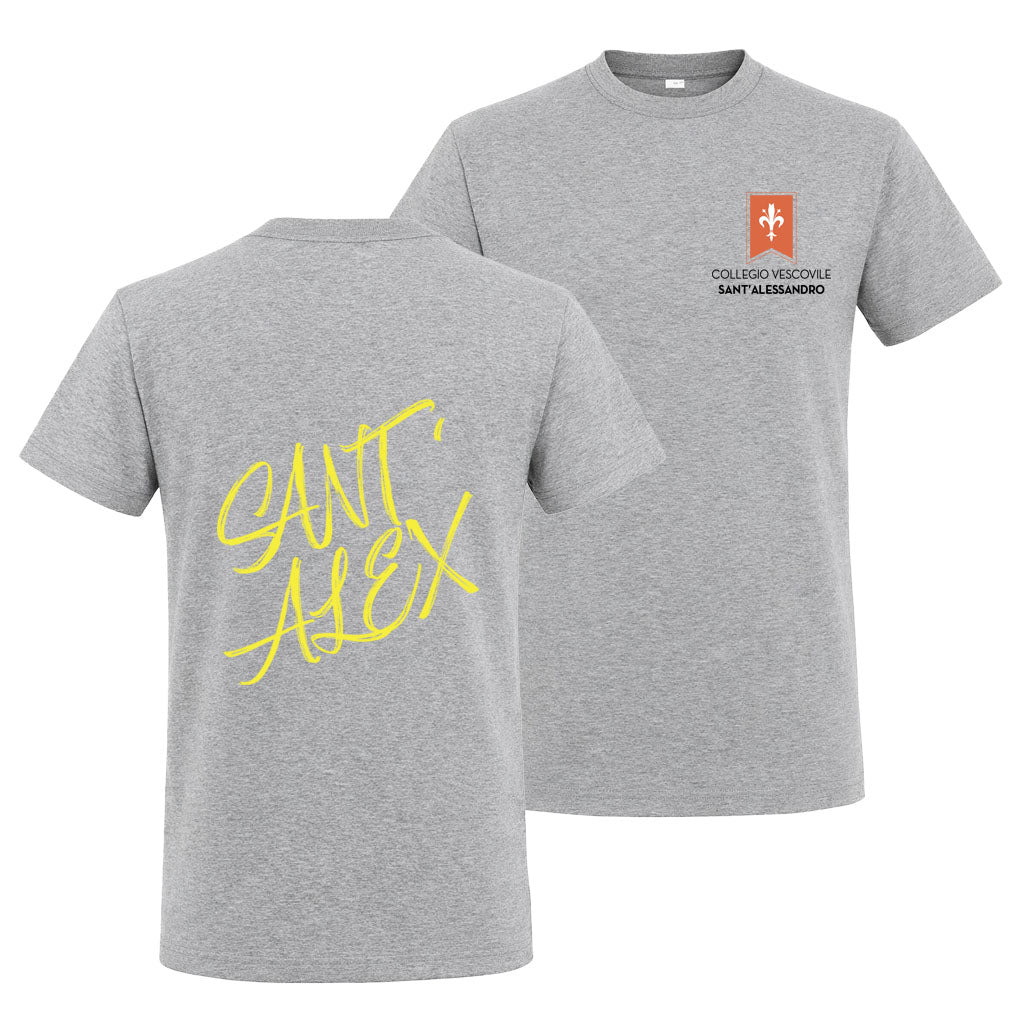 T-Shirt Collegio Vescovile V1 Grey