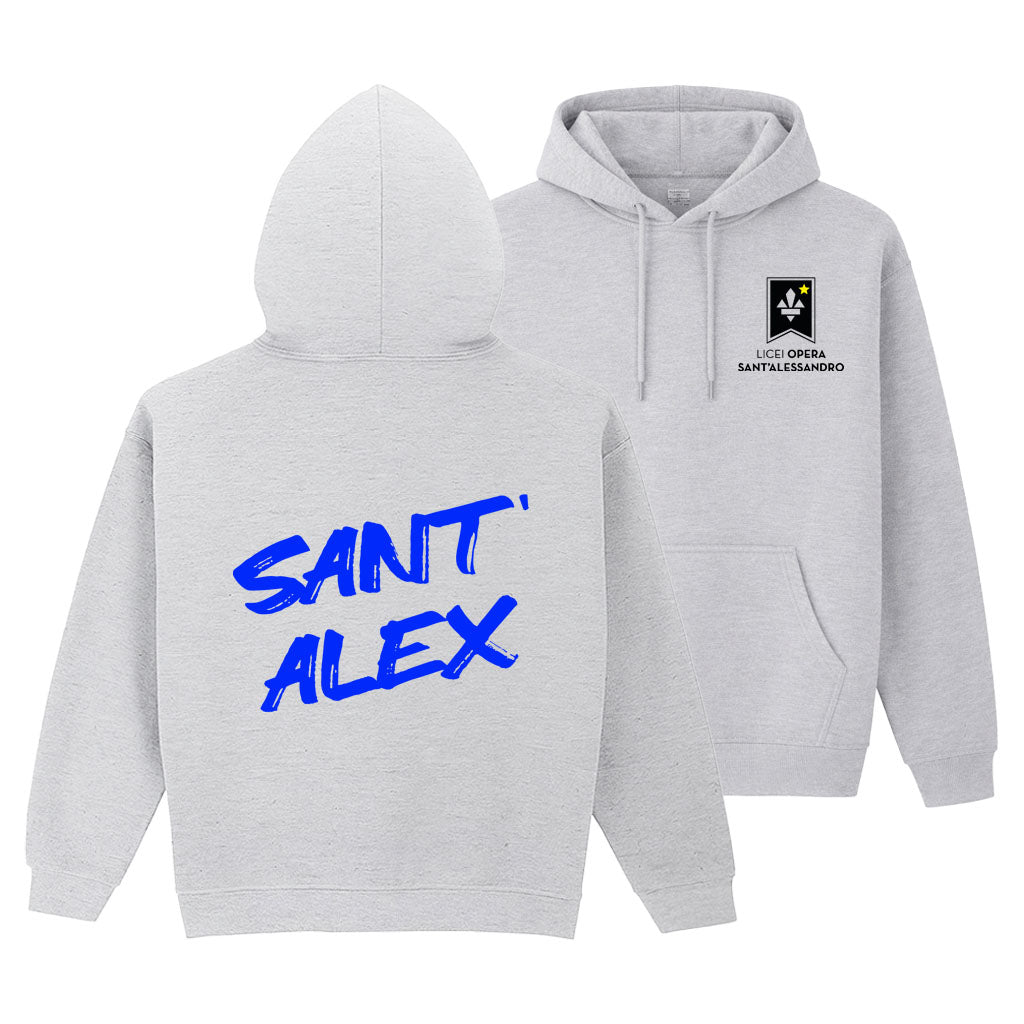 Felpa Regular V2 Grey