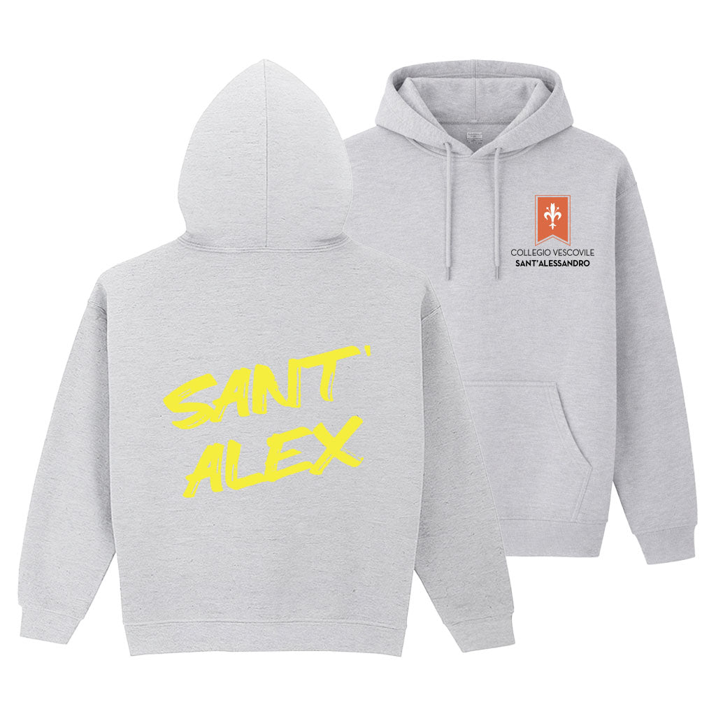 Felpa Collegio Vescovile V2 Grey