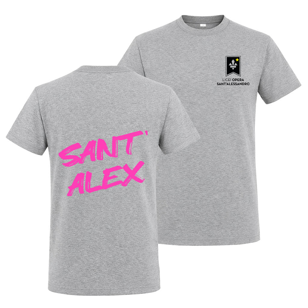 T-Shirt Regular V2 Grey