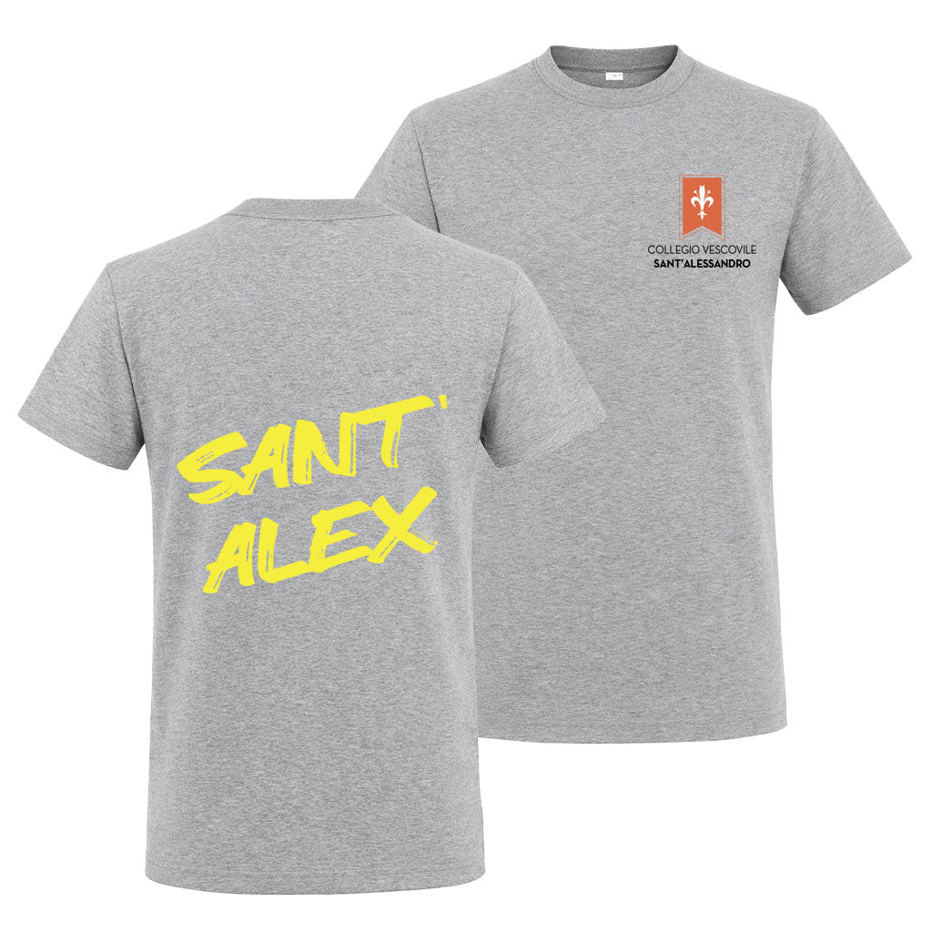 T-Shirt Collegio Vescovile V2 Grey