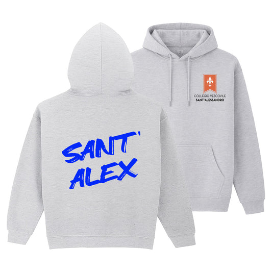 Felpa Collegio Vescovile V2 Grey