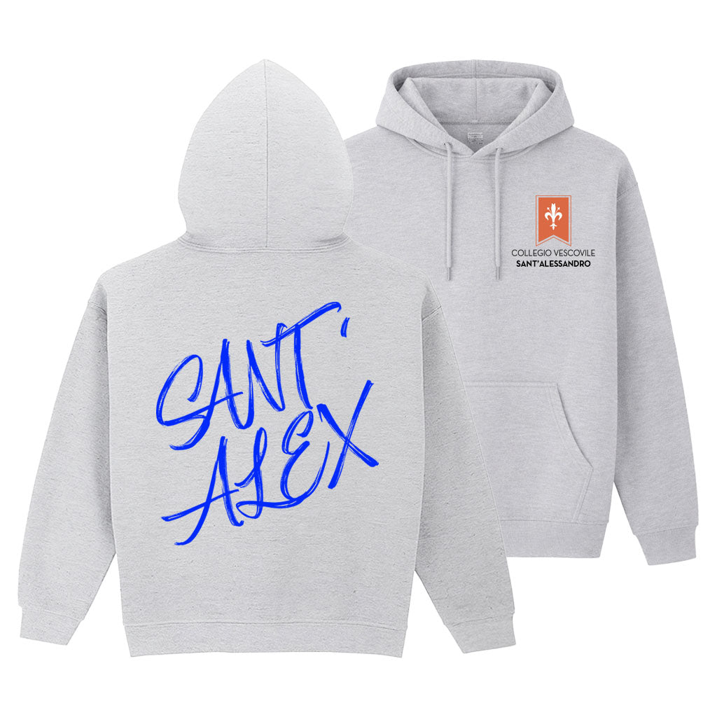 Felpa Collegio Vescovile V1 Grey